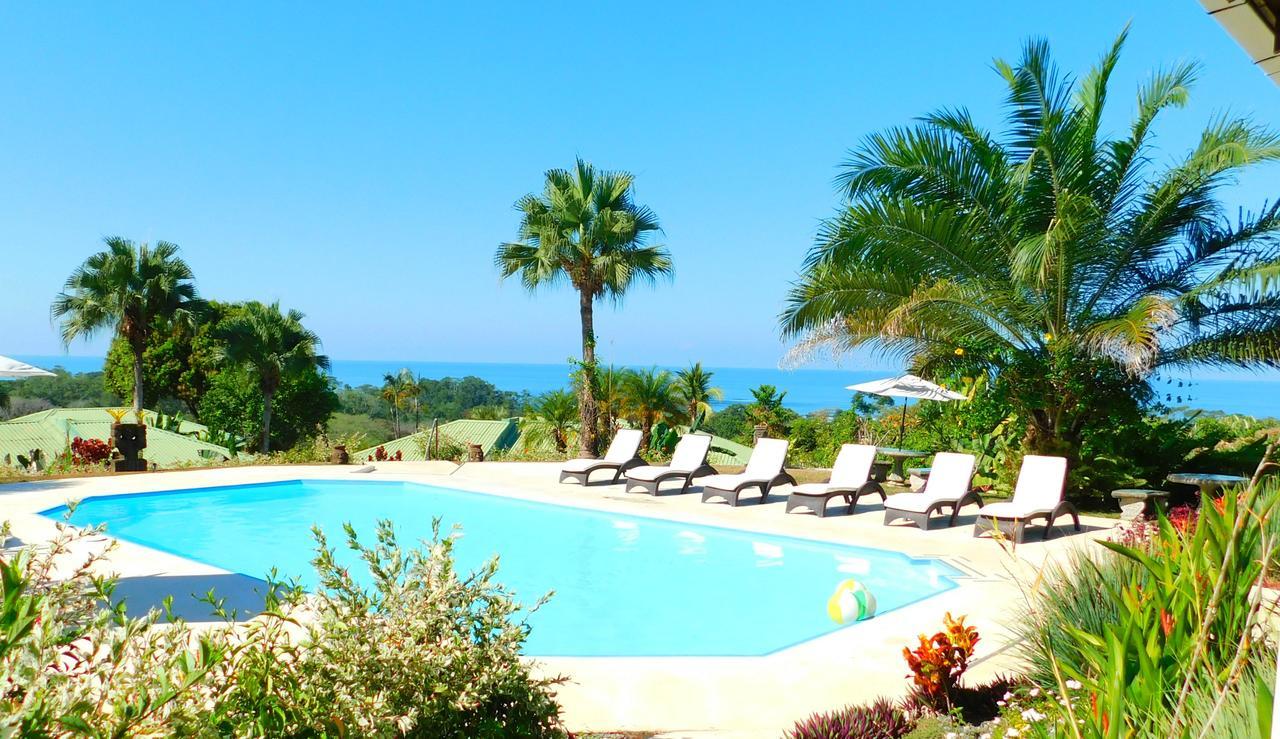 Hotel Lookout Playa Tortuga Охочал Екстериор снимка